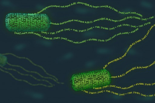 Hackeando la vida: programando nuevas funciones en bacterias y levaduras