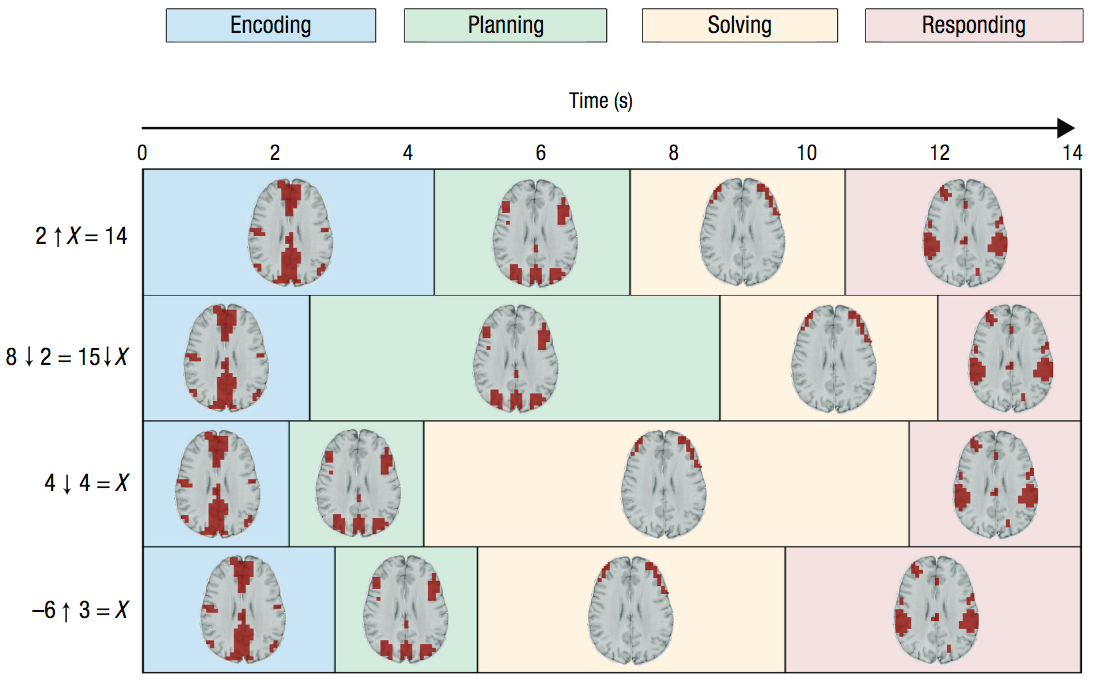 Distintos estados de pensamiento revelados en patrones de actividad cerebral