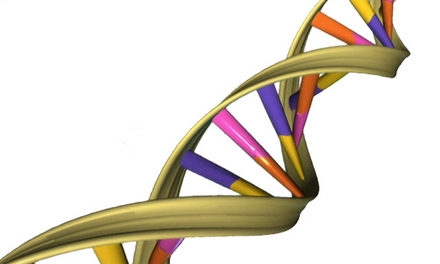 Descubren código secuencial genético preciso que habilita genes