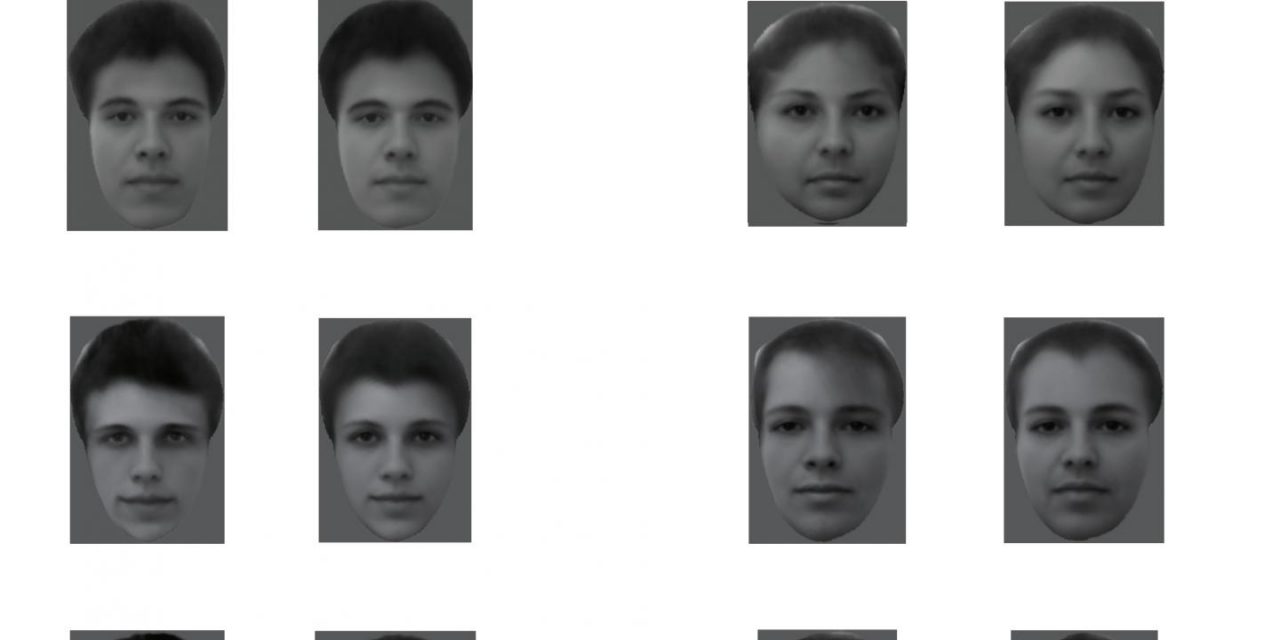 Descifran la manera en que los rostros están codificados en el cerebro